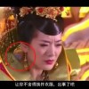 六图库大全图片跑狗